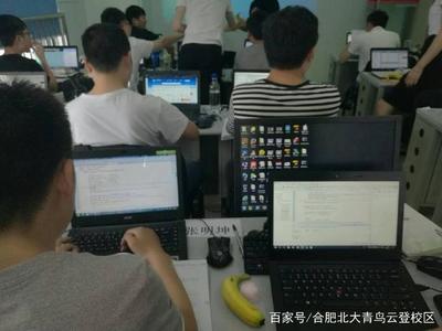 汽车维修与计算机软件开发,哪个更有前景?