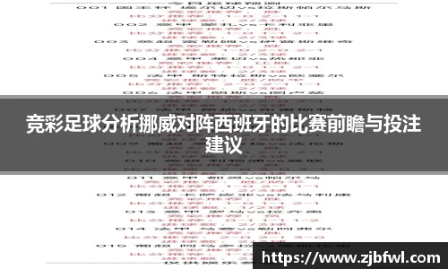 NG体育平台