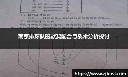 NG体育平台